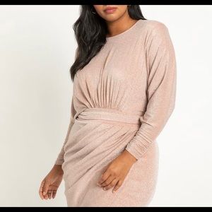 SEQUIN DRESS 👗 NWT